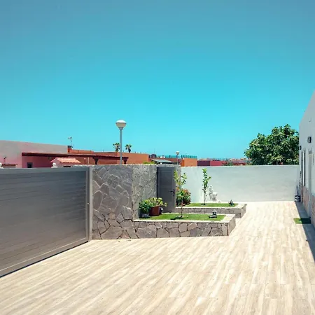 Molly88 فيلة كاليتا ذي فوستي